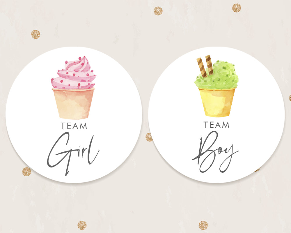 24pcs 40mm Watercolour Ice Cream Style Baby Gender Reveal Team Girl Team Boy Favour Stickers
